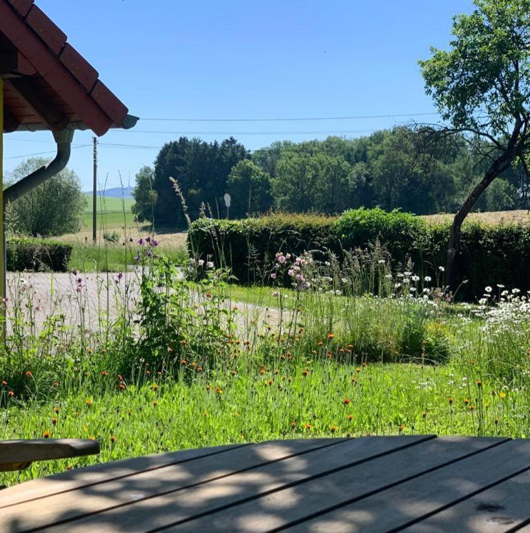 Urlaub Mit Hund Auf Dem Bauernhof Hofswald Apartment Euscheid Exterior foto