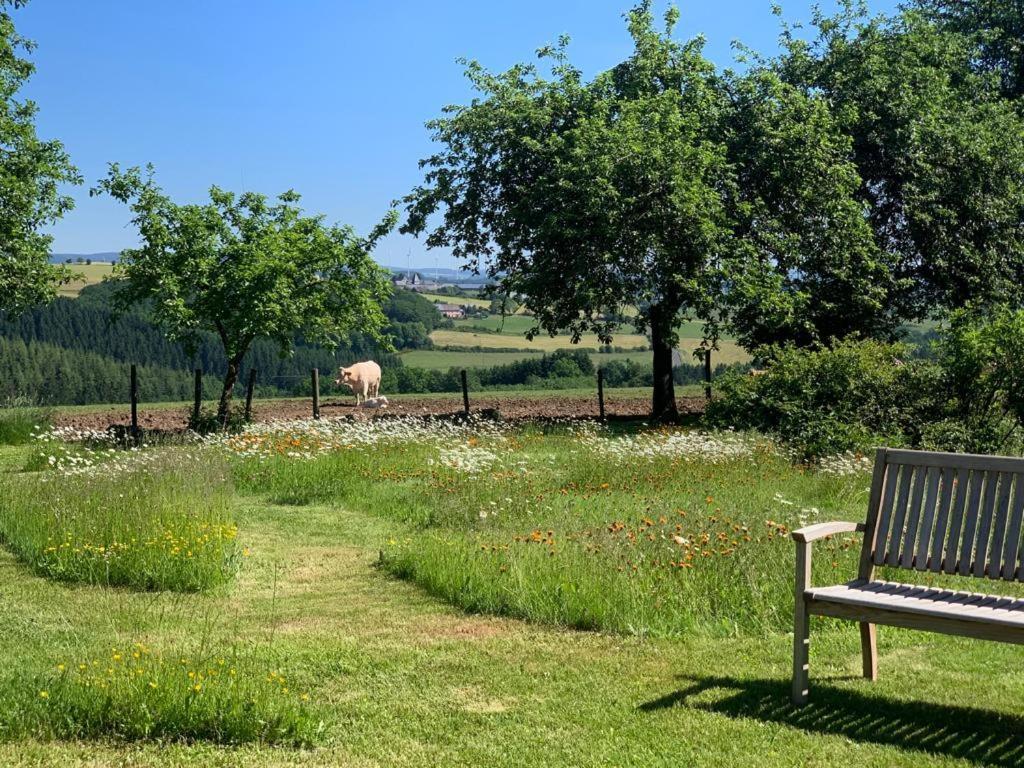 Urlaub Mit Hund Auf Dem Bauernhof Hofswald Apartment Euscheid Exterior foto