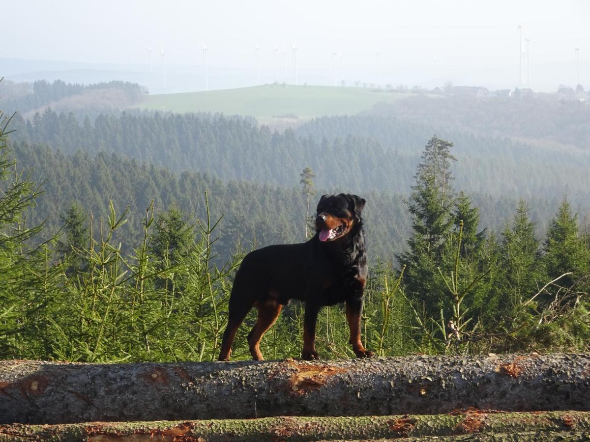 Urlaub Mit Hund Auf Dem Bauernhof Hofswald Apartment Euscheid Exterior foto