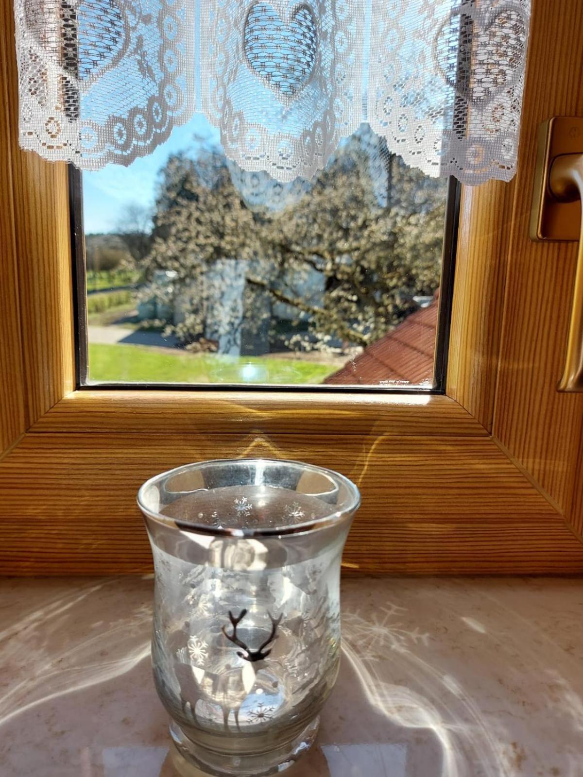 Urlaub Mit Hund Auf Dem Bauernhof Hofswald Apartment Euscheid Exterior foto